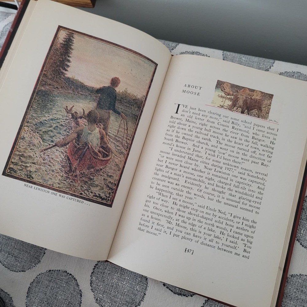 More Really So Stories by Elizabeth Gordon and Jane Priest - Picture 6 of 7